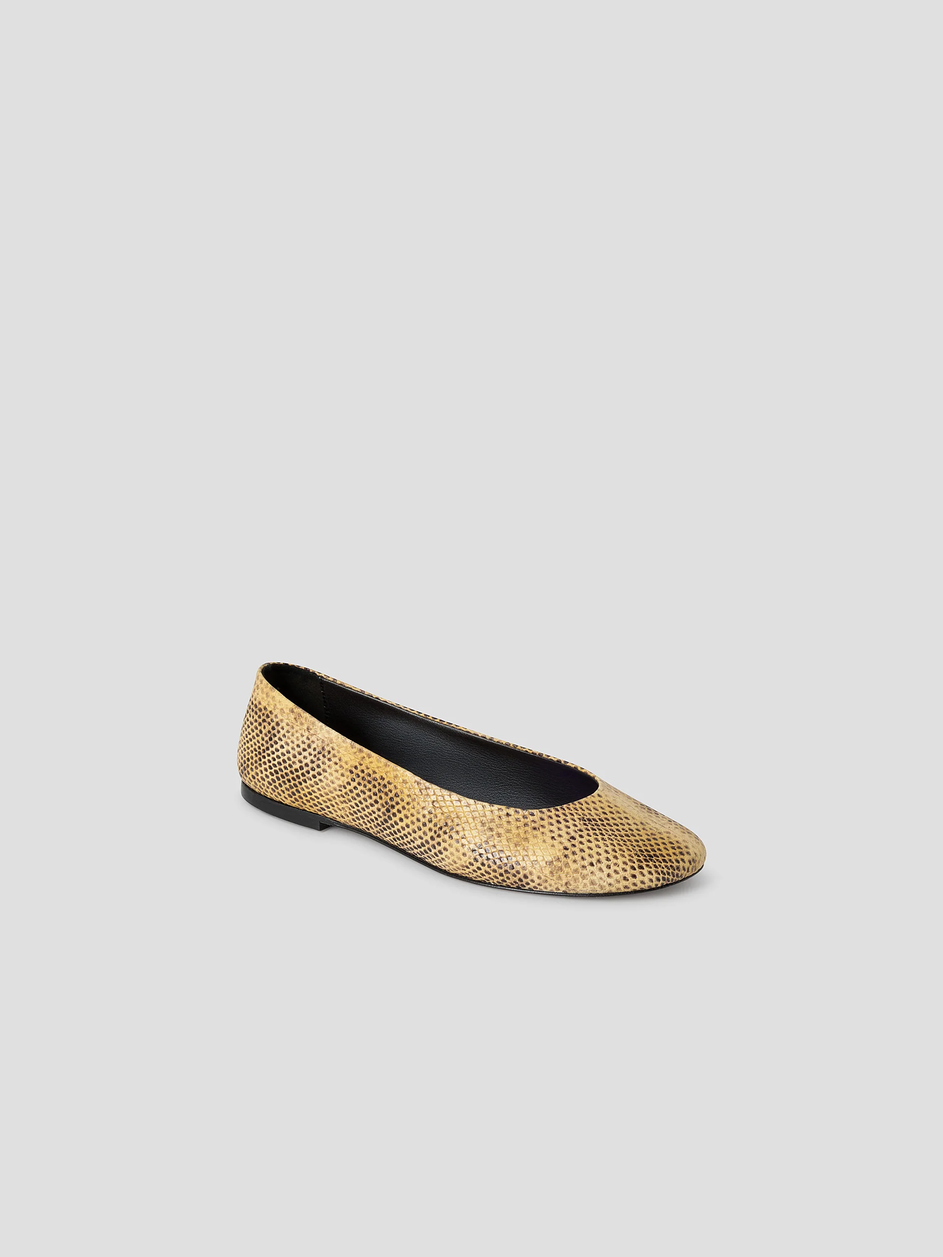 Bailarina Exotic - Image 12