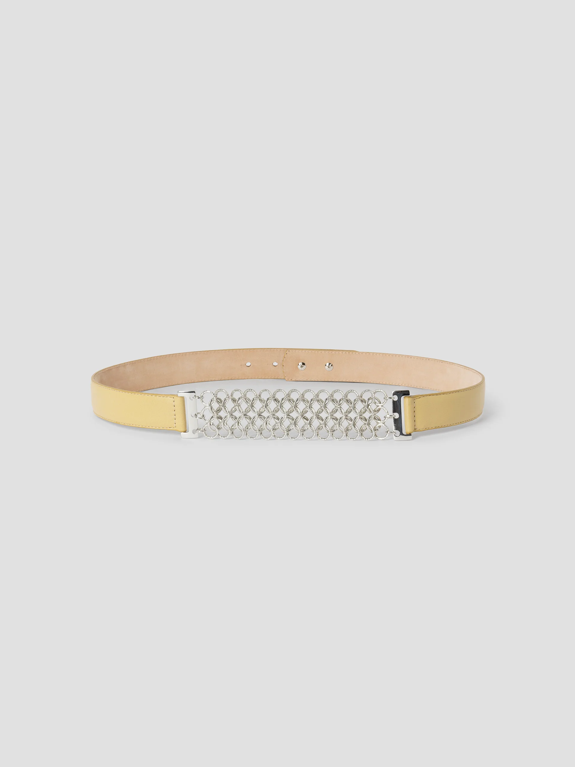 Paula Belt - Image 3
