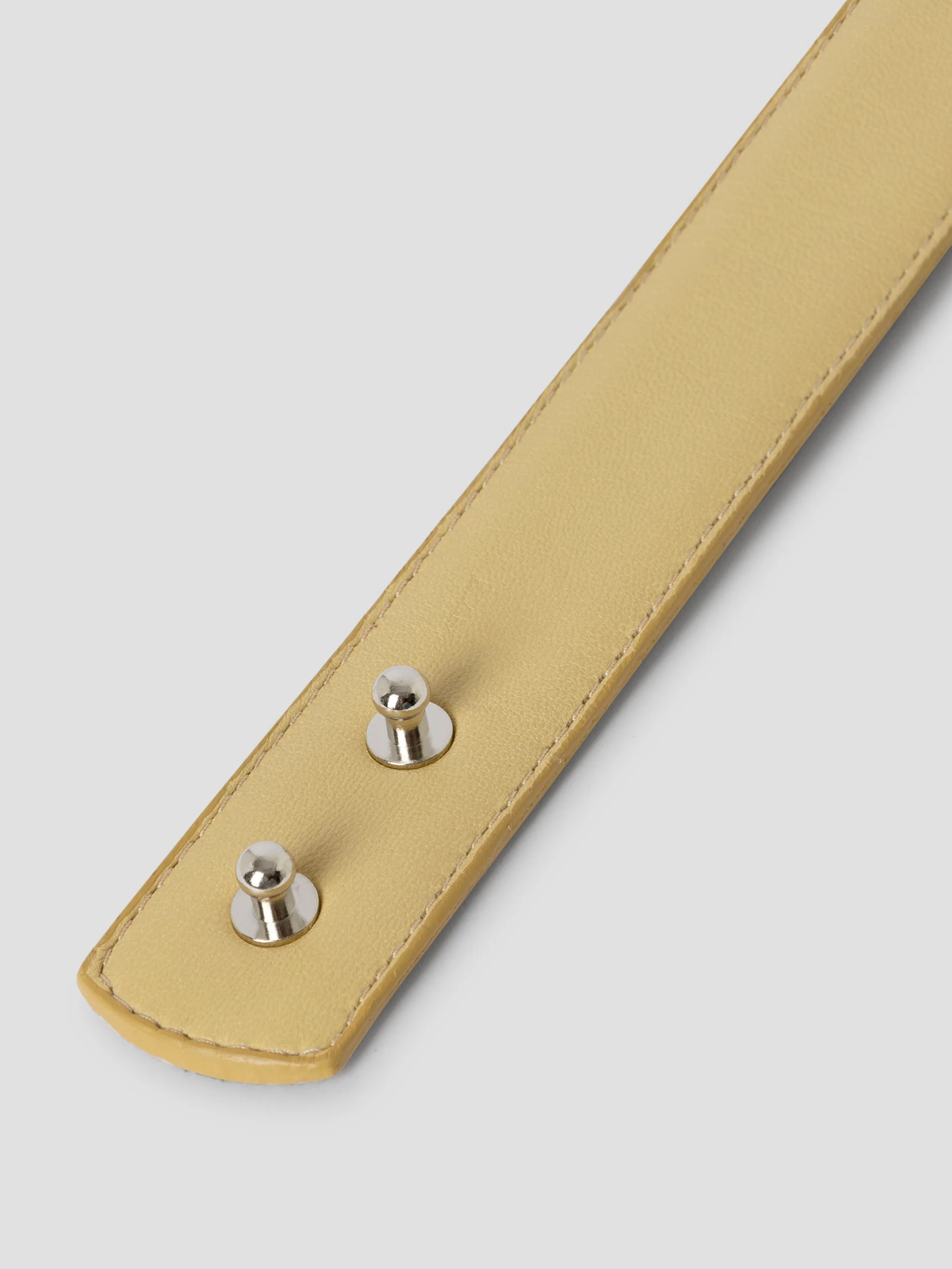 Paula Belt - Image 5